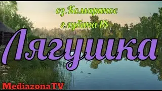 Русская рыбалка 4 оз Комариное Лягушка 24 06 23
