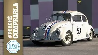 Volkswagen Maggiolino (Herbie) | Perché comprarla... CLASSIC