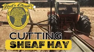 Cutting Sheaf Hay with the Binder - HV McKay Sunshine