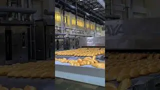 Modern bread factory