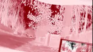 Render Pack Round 2 Наталия Царева + Banjo Vocoder (1/32)