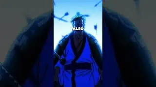 What would happen if Zoro faced Mihawk RIGHT NOW? | #onepiece #zoro #mihawk #strawhats
