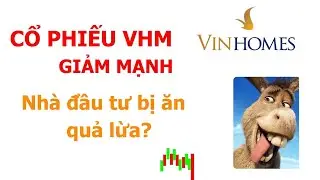 VHM kh&ocirc;ng mua cổ phiếu quỹ? Nh&agrave; đầu tư đu đỉnh | UVINVEST