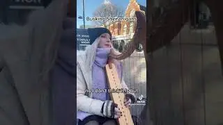 This Annoying Karen starts pestering the harp player
