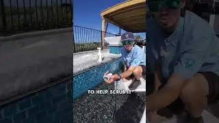 Simple Calcium removal from Pool tiles