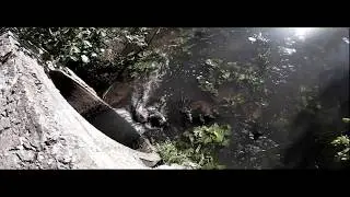 Russian jungle prod. by Roligan