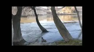 Zaragoza Ebro &lrm;jueves, &lrm;6&lrm; de &lrm;febrero&lrm; de &lrm;2025