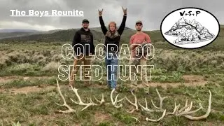 Shed Hunting Colorado! Back At It! 2021