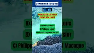 Mabagal na Mammal 2 #neks #generalknowledge #paradisephilippines