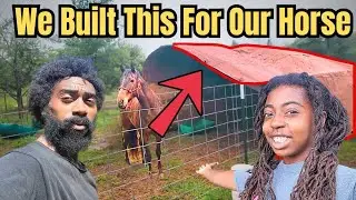 Our First DIY Horse Shelter on the Homestead With No Experience 