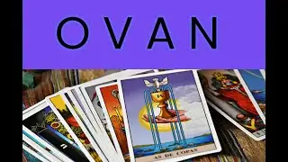 OVAN | IDE KAO VODA | 1. DO 8. FEBRUAR 2026 | TAROT OTVARANJE