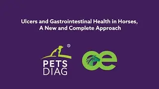 Pets Diag x Optim Equine Ulcers and Gastrointestinal Health in Horses: A New and Complete Approach