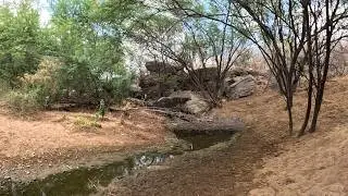 O RIO QUE VIROU CAMINHO: EXPLORANDO O LEITO DO ACAUÃ