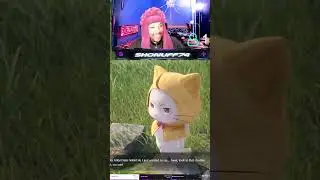 Chubby cat! | #shonuff74 on #Twitch