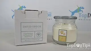David Oreck Pet Odor Eliminating Candle Review (2018)