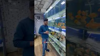 Wholesale Rate Aquarium Shop Bhopal