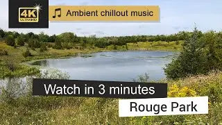 Hiking Adventurer exploring Rouge Park - Best Trails to Hike in Canada | Ambient chill out music 🎵