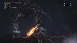 [14] Bloodborne - Chalice Dungeons! (Casual Playthrough - No Commentary)