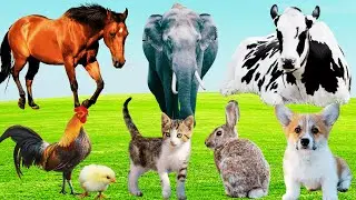 Collection Of Cute Animal Sounds: Cow, Elephant, Horse, Rabbit, Goat, Puppy, Kitten - REAL FARM ZOO