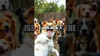 The Dog Who Out-Debated Humans