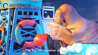 &ldquo;Nihao! China&rdquo; - Ice & Snow Tourism Promotion