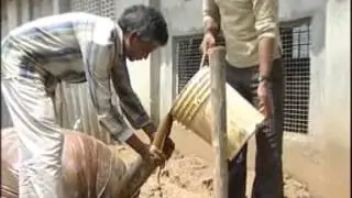 Holy Cow Gau Maata गौ माता Vigyan Kendra - Jaipur