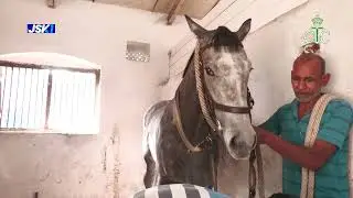 SNOW LEOPARD    |   The Jsk1 Indian Produce Stakes