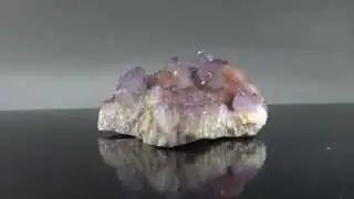 Cactus Quartz Ametrine Specimen