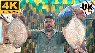 KASIMEDU SELVAM FISH CUTTING | FISH CUTTING SKILLS | FISH CUTTING VIDEOS #kasimedu | UK SONS MARINE