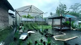 Natural Rain Sounds for Sleeping | Calm Mind, Deep Rest