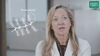 MartiDerm 360 - What is a Proteoglycan?