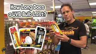 TDI's Quick Tips & Tricks - How Long Does a UVB Bulb Last and How Do I Know It's Still Working? 💡