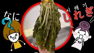 【マシッソヨ！】韓国で買ったシレギを下ごしらえしてカムジャタン食べたらお店の味！！