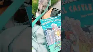 Love these free street library book places #comics #manga #anime #books