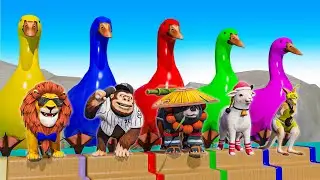 Long Slide Game With Cow Elephant Gorilla Hippopotamus Pirate 3D Animal Game Funny 3D Animals