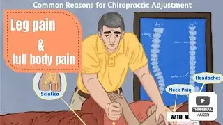 Body pain and Leg pain relief for Chiropractic & Naturopathy treatment.