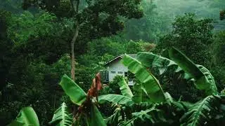 GNTRX - Moody Day - EDM & Chill