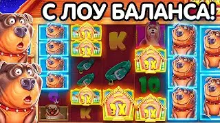 СОБАКИ МЕГАВЕЙС С ЛОУ БАЛАНСА! БОДРАЯ СЕССИЯ ВЫШЛА!