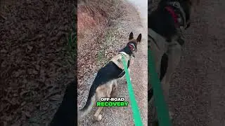 Heavy D Sparks_ Off-Road Recovery King!