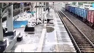Vasai Alert motorman halts train in time, saves life of woman