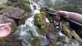 Courte Session d'une matin&eacute;e dans un mini-torrent en Is&egrave;re - Mountain fishing Cyrille