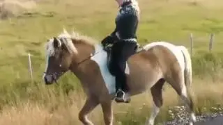 F&iacute;fill