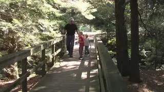 Great Getaways: Lexington Park - Sanilac County, MI