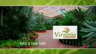 Virginia Home & Garden / Virginia Nursery - Adelaide 2010