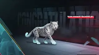 ААА! МИФИК питомец❄️HOLA BUDDY ❄️ Pubg Mobile❄️ IPAD PRO,M1,M2,M4