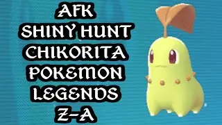 AFK Shiny Chikorita Pokemon Legends Z-A