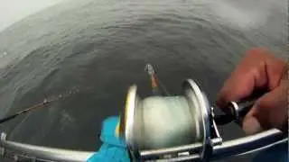 Rock Cod Fishing at the Farallons
