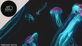 PREMIERE: Silence Path - Illusion (Powel Remix) [Loot Recordings]