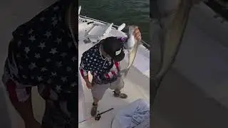 Guide Keith Parks lake Tawakoni Texas