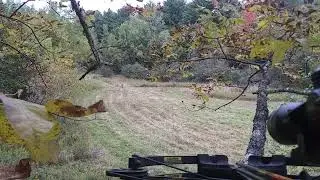 2022 Pa Deer Hunting there coming out